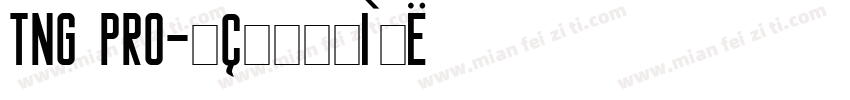 TNG Pro字体转换